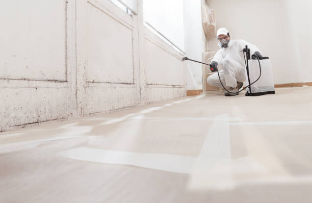 24/7 Emergency Mold Remediation experts in Columbia, KY